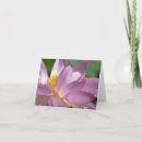 Search for pink lotus flower cards Bloom