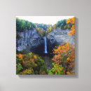 Search for fall foliage canvas prints Photography