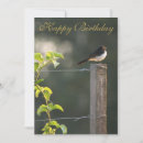 Search for feathered birds invitations Botanical