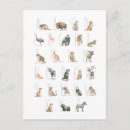 Search for cute alphabet postcards Watercolor