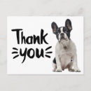 Search for french thank you postcards Frenchie
