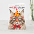 Search for maine coon cat birthday cards Pets