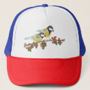 Search for two hats Birds