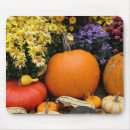 Search for assorted colours mousepads Cindy miller hopkins