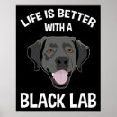 Search for funny labrador posters Pet