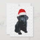 Search for black labrador christmas cards Dog lovers
