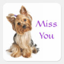 Search for yorkshire terrier dog stickers Puppy