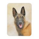 Search for belgian magnets Malinois