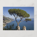 Search for amalfi postcards View