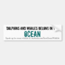 Search for dolphin bumper stickers Whales