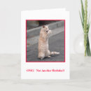 Search for omg birthday cards Cat