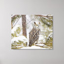 Search for owl ears art Wildlife