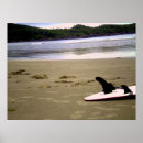 Search for mellow posters Ocean