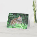 Search for fawn cards Deer