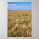 Search for grassland posters Landscape