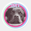 Search for memories stickers Funny
