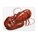 Search for cook rectangular magnets Seafood