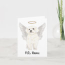 Search for havanese cards Bichon
