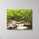 Search for smokey mountain art Smokies