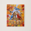Search for cardinal bird puzzles Blue jay