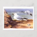 Search for ornithology postcards Antique