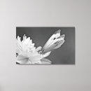 Search for bug photography Floral