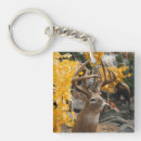 Search for deer key rings Wildlife