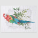 Search for parrot tissue paper Watercolor