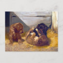 Search for playing postcards Animals