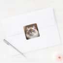 Search for cardboard box stickers Cute
