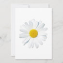 Search for daisy thank you cards Bouquet