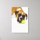Search for bite canvas prints Vertical
