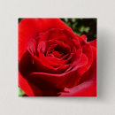 Search for bright red badges Flower