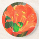 Search for water coasters Orange