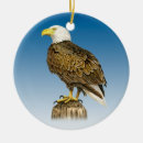 Search for bald eagle christmas tree decorations Nature