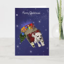 Search for dalmatian christmas cards Winter
