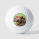 Search for dachshund golf equipment Red