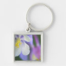 Search for columbines key rings Colorado