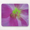 Search for purple bloom electronics Pretty