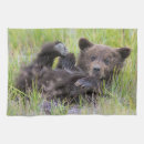 Search for brown bear tea towels Alaska