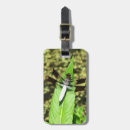 Search for bug travel accessories Dragonflies