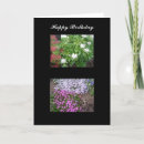 Search for nature birthday cards Beautiful
