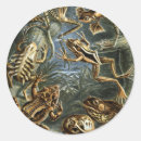 Search for herpetology stickers Amphibians