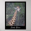 Search for africa posters Jungle