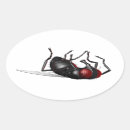 Search for dead bug Insect