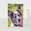 Search for corgi puppy birthday cards Funny
