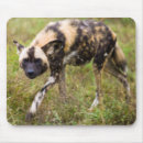 Search for wild one mousepads Horizontal