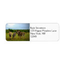Search for wild horse return address labels Wildlife