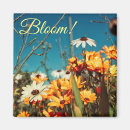 Search for blooming magnets Inspirational