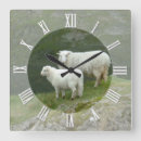 Search for farmers clocks Animal